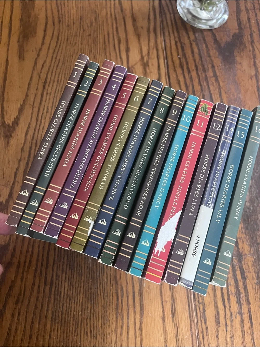 Horse Classic Multicolor Horse Diaries Decorative Book Set - Whitney Sanderson